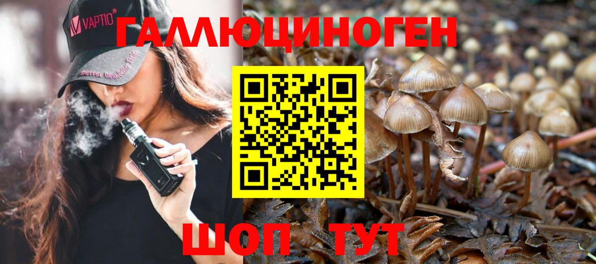Псилоцибиновые грибы Psilocybine cubensis Йошкар-Ола