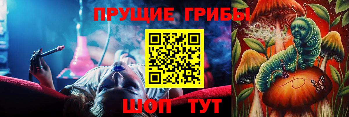 Галлюциногенные грибы MAGIC MUSHROOMS  Вход с VPN  Йошкар-Ола 